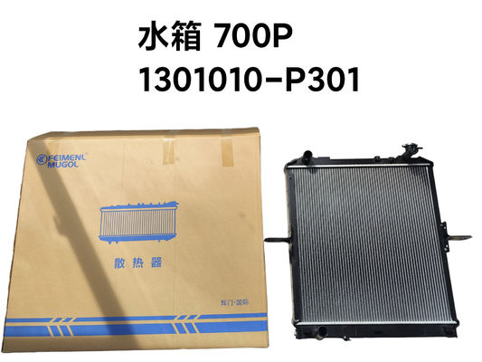 Goede prijs Feimenl Mugol Radiator ISUZU NPR NQR 4HK1,1301010-P301 online
